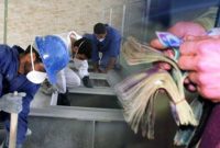 نقض سه‌جانبه‌گرایی درجلسه دیرهنگام/چرا کارگر به کارخانه نمی‌رود؟