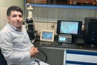 تبلیغات دروغین درمان اعتیاد با یک قرص در فضای مجازی/ بروملین، پروتئین مؤثر در ترمیم زخم‌ها