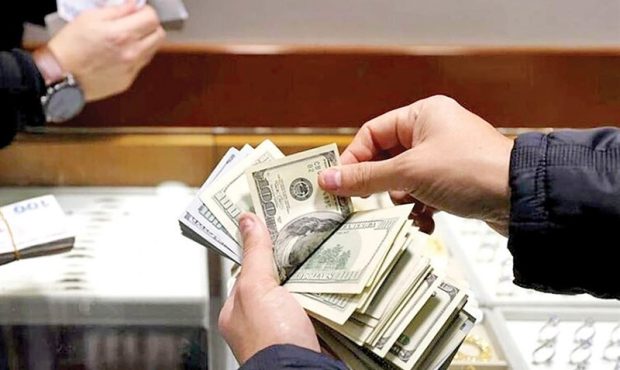 آغاز مداخله ۵۰۰ میلیون دلاری بازارساز از فردا؛ تخصیص ارز تا ۱۰۰ هزار دلار به تولیدکنندگان