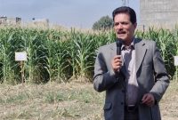 راه نجات تهران از خشکسالی: توسعه گلخانه و کشت کم‌آب‌بر