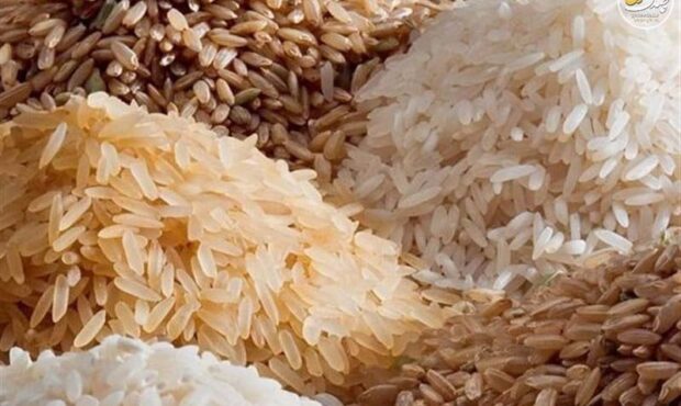 تأمل‌برانگیز: چرا به استان برنج‌خیز، برنج خارجی وارد می‌شود؟